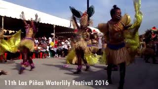 11th Las Piñas Waterlily Festival 2016 [upl. by Gauldin]