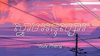 Suly Pheng  ស្នាមអនុស្សារ  Lyrics [upl. by Kulsrud]