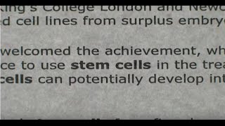 A Stem Cell Story [upl. by Eiznekcam]