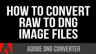 The Dng Converter for Photography [upl. by Akerue204]