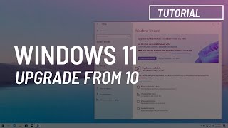 Windows 11 Upgrade from Windows 10 via Windows Update Official [upl. by Dusty]