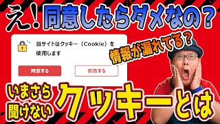 同意して大丈夫？「cookieに同意する」ってどういうこと？ [upl. by Mareld]