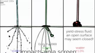 Ewoldt group 2016 APSDFD Gallery of Fluid Motion Impacts on a screen [upl. by Beverlie]