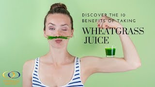 Discover the 10 Benefits of Taking Wheatgrass Juice [upl. by Nesbitt286]