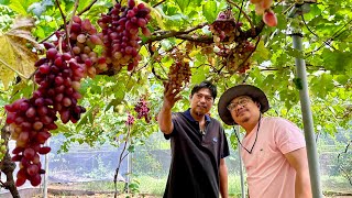 Dating Grab Driver Kitangkita ang Asenso sa Grapes Vineyard at Calamansi Farming [upl. by Queridas]