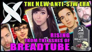 Why LeftTube Is Dying And The Next AntiSJW Wave Is Rising [upl. by Aicillyhp]