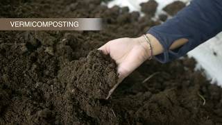 How to do vermicomposting on your farm [upl. by Aicrop80]