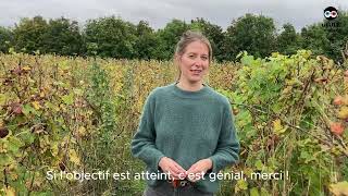 Vidéo de lancement de campagne Ulule  Ateliers vins nature [upl. by Raddie]