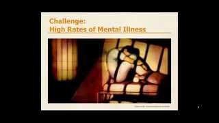 WEBINAR Nowhere Else to Go — Incarcerated Survivors with Mental Illness [upl. by Llehsyt403]