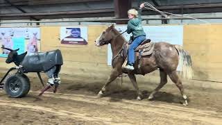 Wade roping the sled steer with Paycheck [upl. by Ahsienahs]