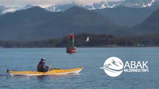 Paddle with Whales Kayak Adventure with Above amp Beyond Alaska [upl. by Kirsteni]