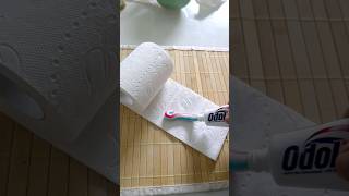 Schmiere Zahnpasta auf Klopapier und Staune was passiert shorts tippsundtricks lifehacks [upl. by Oby]