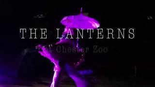 The Lanterns at Chester Zoo 2017  Mini Travellers [upl. by Anyal]