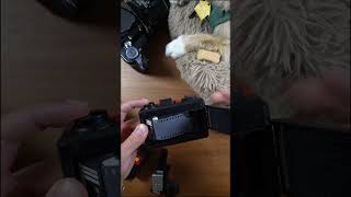 How To Load The Lomography Oktomat [upl. by Heilman]