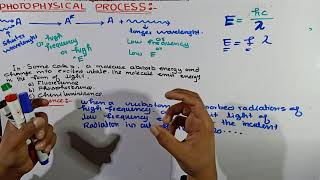 Phosphorescence  photophysical process  Phosphorescence in Photochemistry  Photochemistry [upl. by Ahsito]