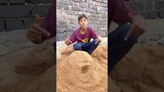 CHOTU KA SAND HOUSE shorts FACTFIREKING [upl. by Ihpen]