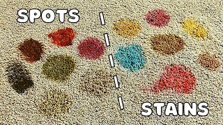 How to Remove Any Carpet Spot or Stain in Two Steps or Less [upl. by Bohlen]