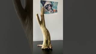 ÖRESUND Driftwood Art and Decor Sweden shorts [upl. by Viglione]