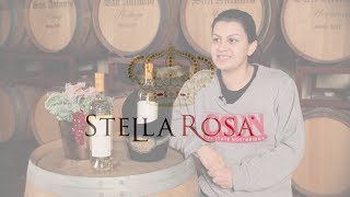 My Favorite Stella Rosa Flavor Bianco  STELLA ROSA TV [upl. by Aryad787]