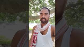 kismaat ke haral bani bhojpuri song newsong music love bhojpurilatest shorts vlog ytshorts [upl. by Amaerd]