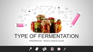 Type of Fermentation and fermenter and the Effect on food [upl. by Stannfield]