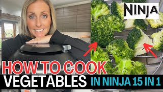 HOW TO Cook Vegetables in NINJA FOODI MAX 15 in 1  Tender al dente Vegetables with vibrant colour [upl. by Aihseyk]