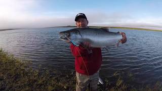 Casting Mag Lips for Silver Salmon [upl. by Ahsiuqram518]