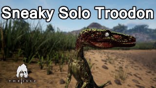 Being a Sneaky Solo Troodon on Gateway  The Isle [upl. by Aicele]