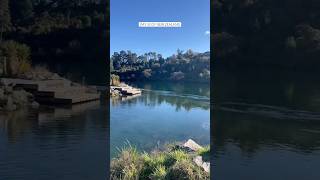 DAY 53  SPA THERMAL PARK taupo geothermal riverside newzealand vanlifediaries travelvlog [upl. by Eloken619]