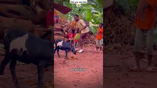 ma baker boneym dance trending funny comedy discoband foryou viral popband dancechallenge [upl. by Monique679]