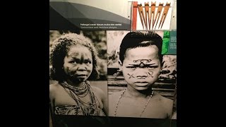 Malaysia Who are the Orang Asli Negritos of SE Asia amp Ethnic Diversity [upl. by Pail]