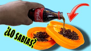 Mezcla una PAPAYA con COCACOLA y te Sorprenderás  100 EFECTIVO [upl. by Shugart289]