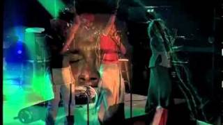 Ziggy Marley amp The Melody Makers  quotHigher Vibrationsquot [upl. by Neehs]