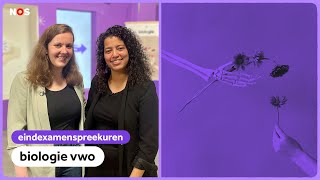 Examenspreekuur biologie vwo met Amina en Suzanne [upl. by Dew]