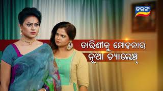 Tara Tarini  20th Sep 2020  Promo  TarangTV [upl. by Odawa927]