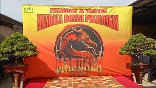 Pameran Dan Kontes Bonsai Lokal Pekalongan 2024  Indonesia [upl. by Emyaj282]