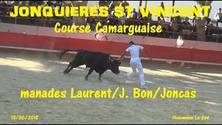 JONQUIERESSTVINCENTCourse CamarguaiseLaurentJ BonJoncas13062018 [upl. by Alikat937]