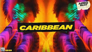 AFROBEAT X SOCA type beat 2023  Soca Instrumental 2023 quotCaribbeanquot [upl. by Araem51]