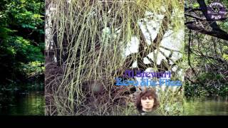 Manuscript  Al Stewart Lyrics HD [upl. by Moor]