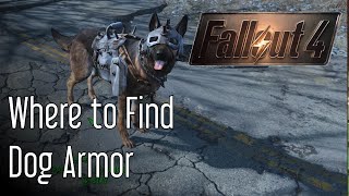 Armor for Dogmeat in Fallout 4 [upl. by Chanda]