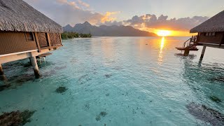 Hilton Moorea arrival Day 1 and 2 [upl. by Secnarf]