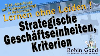 Strategische Geschäftseinheiten Kriterien [upl. by Risser570]