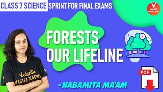 Forests Our Lifeline  Class 7 Science Sprint for Final Exams  Chapter 17 VedantuJunior [upl. by Leiand963]