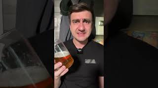 ПИВО BREWDOG PUNK IPA [upl. by Staal69]