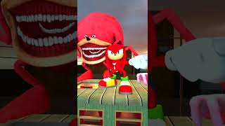 SIZE COMPARISON NEW SONIC CHAOS TAPES FAMILY AMY TAILS KNUCKLES SHADOW TRAIN RIDE in Gmod  shorts [upl. by Jeffy444]