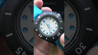 My new watch 🌊  Bausele x Seconde Seconde Sydney Diver Unboxing and First Look unboxing watch [upl. by Herates]