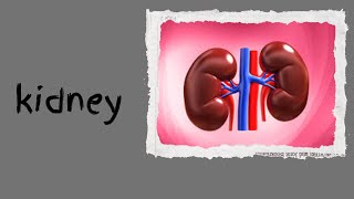 113BIOCHEMISTRY OF RENAL DISORDERS pathophysiology [upl. by Torey871]