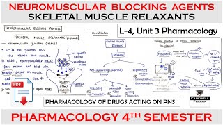 Neuromuscular Blocking Agents and Skeletal Muscle Relaxants  L4 U3  Pharmacology 4th semester [upl. by Dickenson]