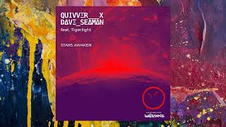 Quivver x Dave Seaman feat Tigerlight — Stars Awaken Club Mix [upl. by Ennael560]