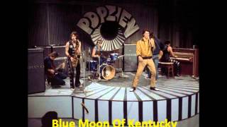 Shakin Stevens amp The Sunsets Blue Moon Of Kentucky [upl. by Imugem]